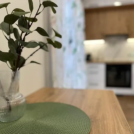 Premium - Evergreen - Self Check-in - Parking Rzeszów