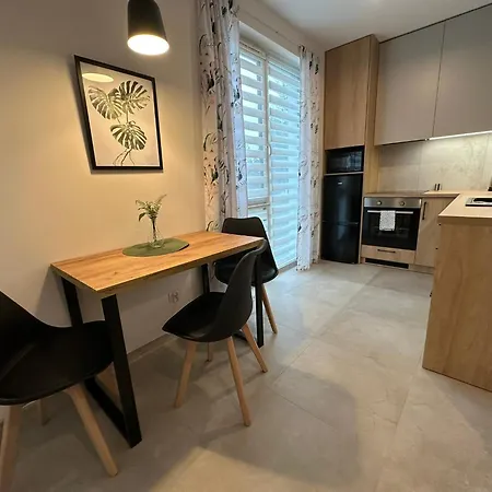 Premium - Evergreen - Self Check-in - Parking Rzeszów